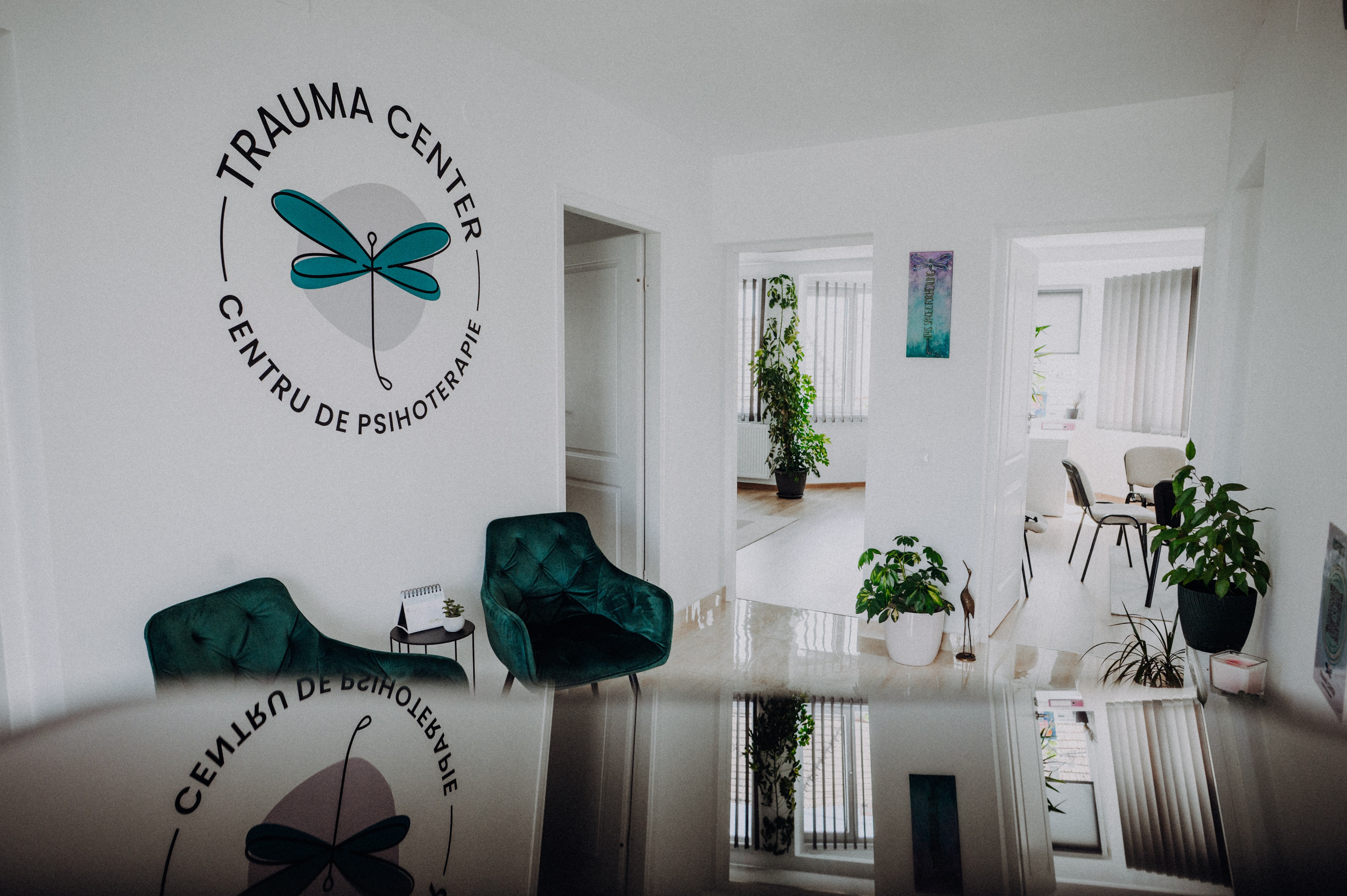 Interiorul luminos al centrului de psihoterapie Trauma Center