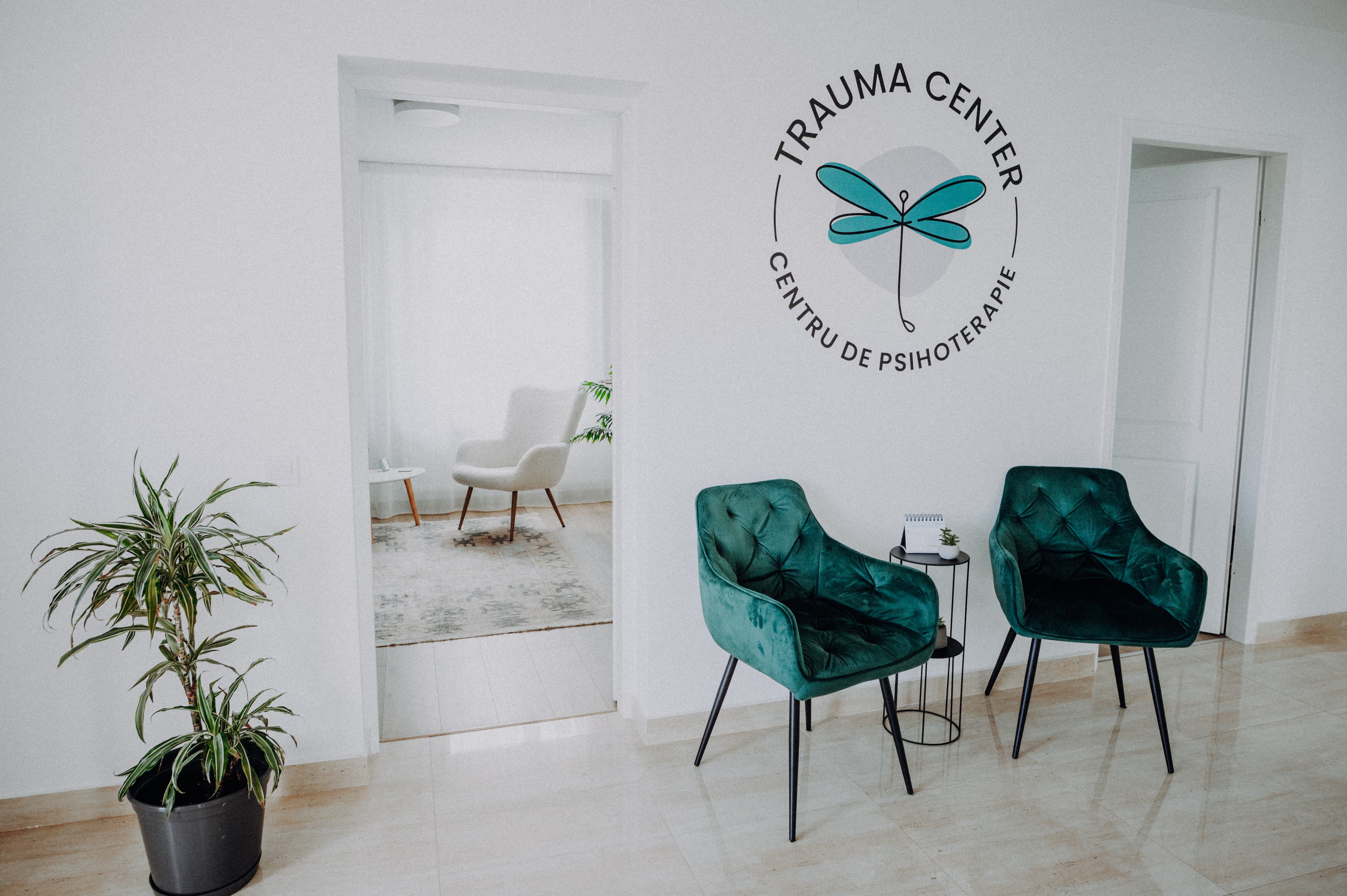 Psihoterapeuți Trauma Center colaborând într-un cadru profesional