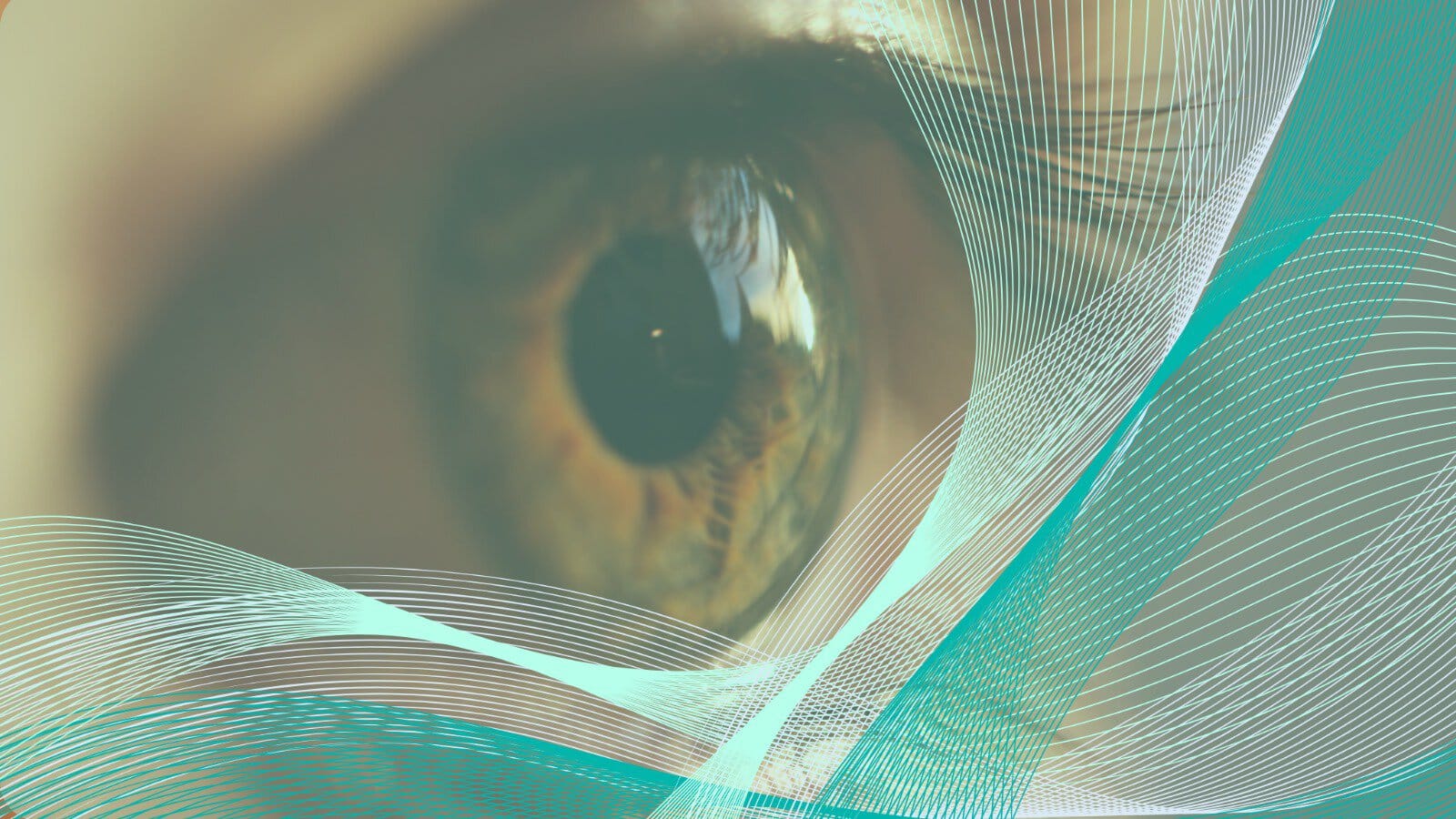 WhatsApp Image 2024-11-26 at 16.58.46