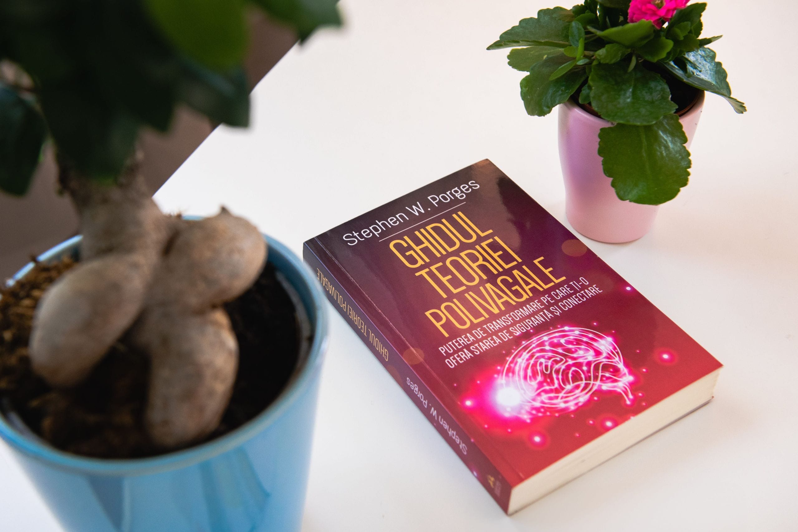 trauma-center-27-min