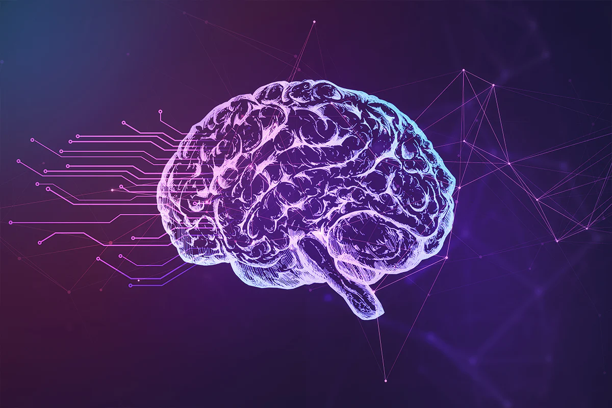 Brainwaves-What-You-Need-To-Know-Cognitive-Solutions-Learning-Center